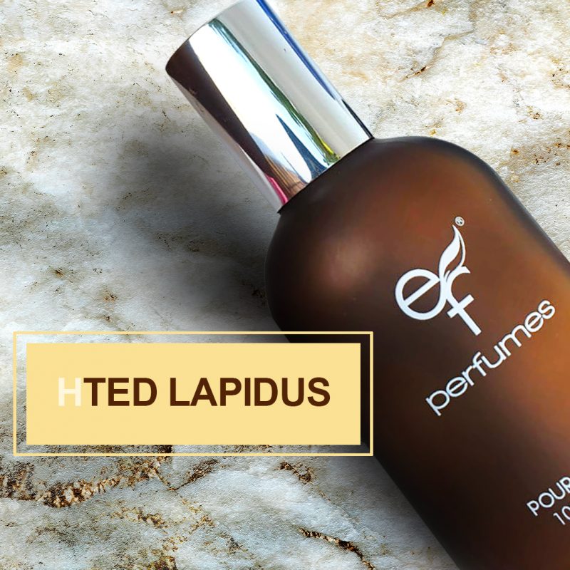 TED LAPIDUS MEN